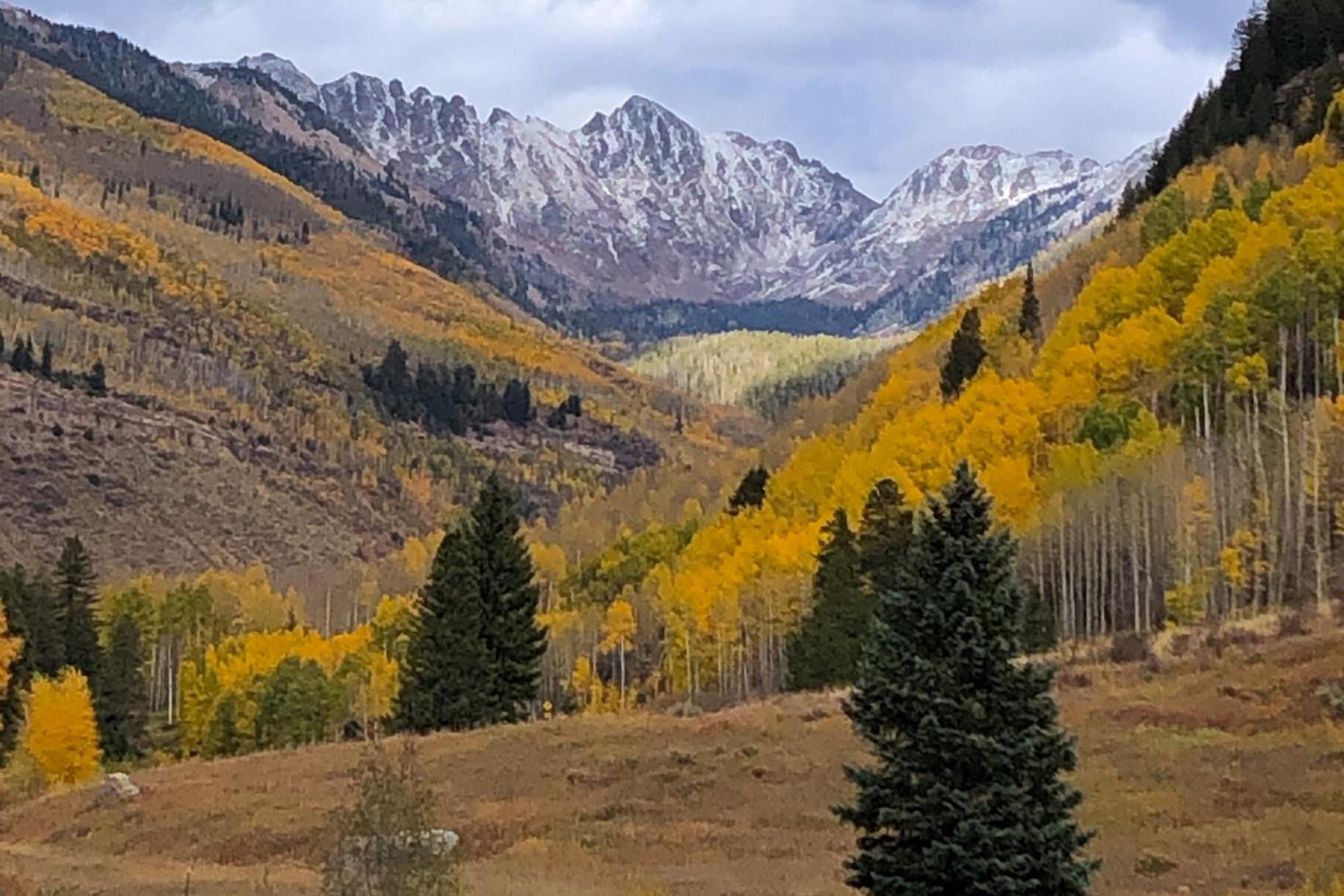 Fallridge Vail Cameră foto